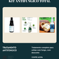 Kit Antifúngico Total — Fungifeet + Feet Clean + Dermo Solution